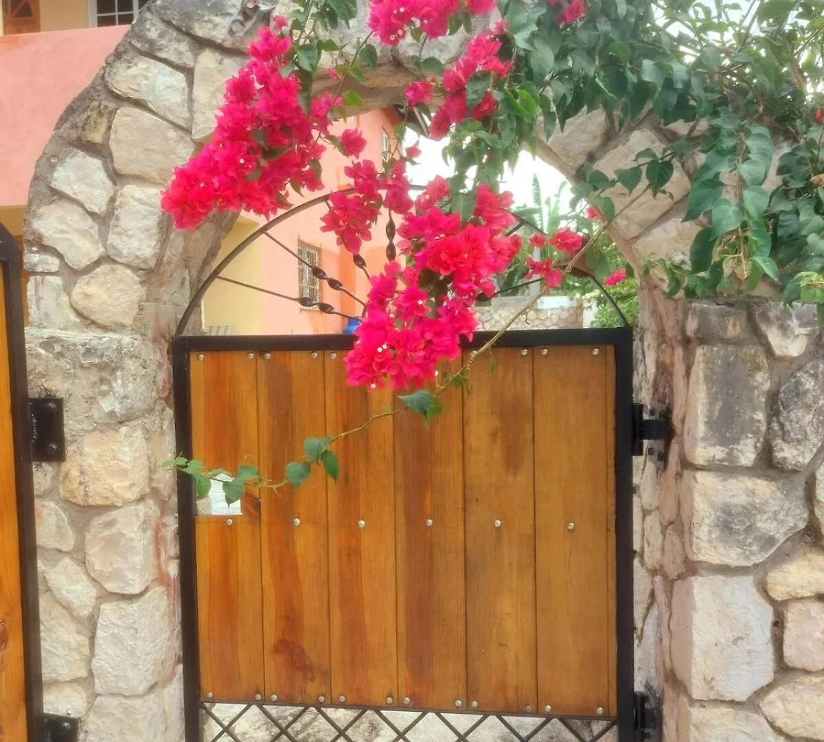 Stoney Gate Cottage -Cozy Green Bungalow With Wifi, Ac And Tv Νεγκρίλ Τζαμάικα